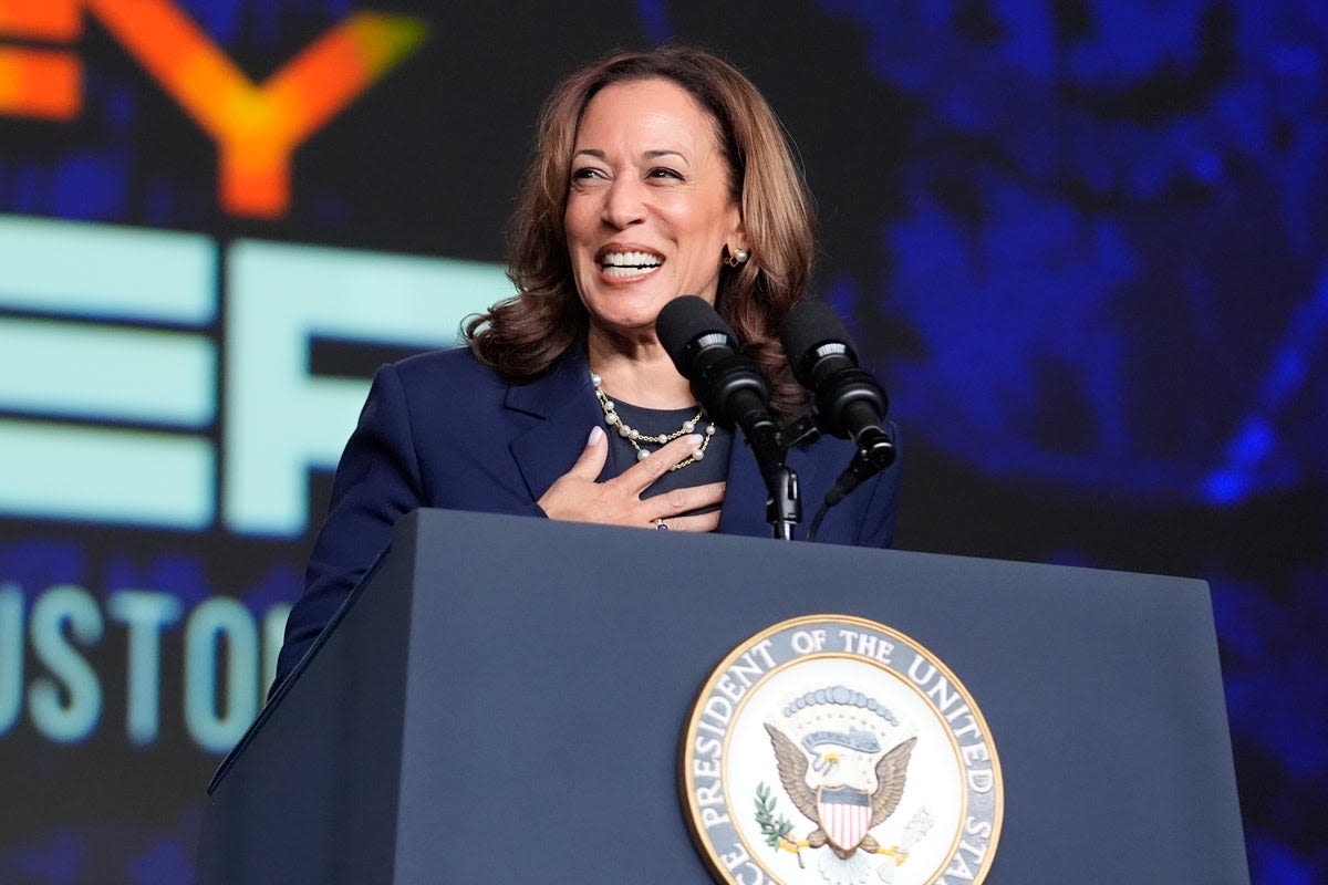 Kamala Harris secures Democratic nomination in roll call vote, kicking off official Trump v Harris race: Live