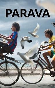 Parava