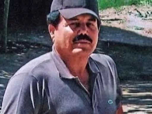 How did El Chapo's son Guzman Lopez trick gang member Ismael 'El Mayo' Zambada and hand him over to US officials? Will Sinaloa Cartel come to end?