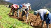 Agencia Nacional de Tierras aseguró que ha mantenido contacto con el movimiento campesino para cumplir acuerdos