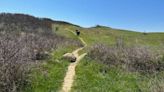 Ledyard’s Steve Fagin offers info on the best day hikes in the region in a revised, expanded book