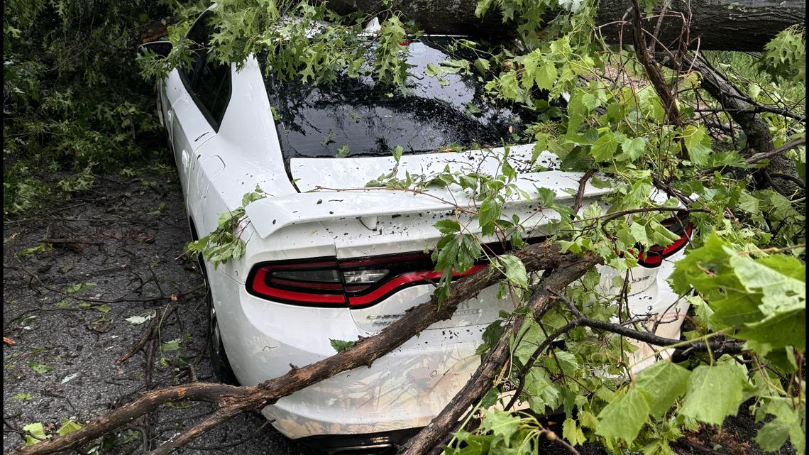 Neighbor saves Muskegon woman from fallen tree, community bands together for cleanup