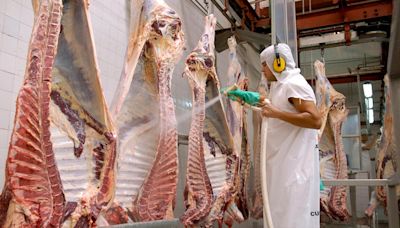 Estiman que el comercio global de carne tendrá uno de los crecimientos interanuales más importantes en 20 años