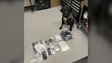 Arapahoe County K-9 can sniff out devices to help find explicit images