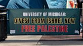 What does divestment from Israel actually mean for schools?