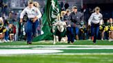 Colorado State football transfer portal tracker following 2023 season