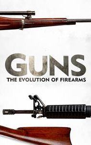 Guns: The Evolution of Firearms