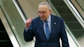 Schumer knocks Zeldin for comparing Navalny death to Trump prosecution