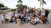 Malestar en Sagunt por el poco interés en ser 'pet friendly'