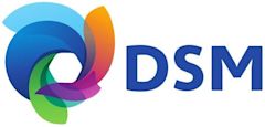 DSM (company)