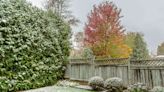 How To Keep Your Plants Warm During The Winter