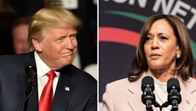 Trump Vs. Harris: Veteran Pollster Says This Candidate Is Building 'Real Lead,' Riding High On Momentum Despite Economic...