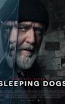 Sleeping Dogs (2024 film)