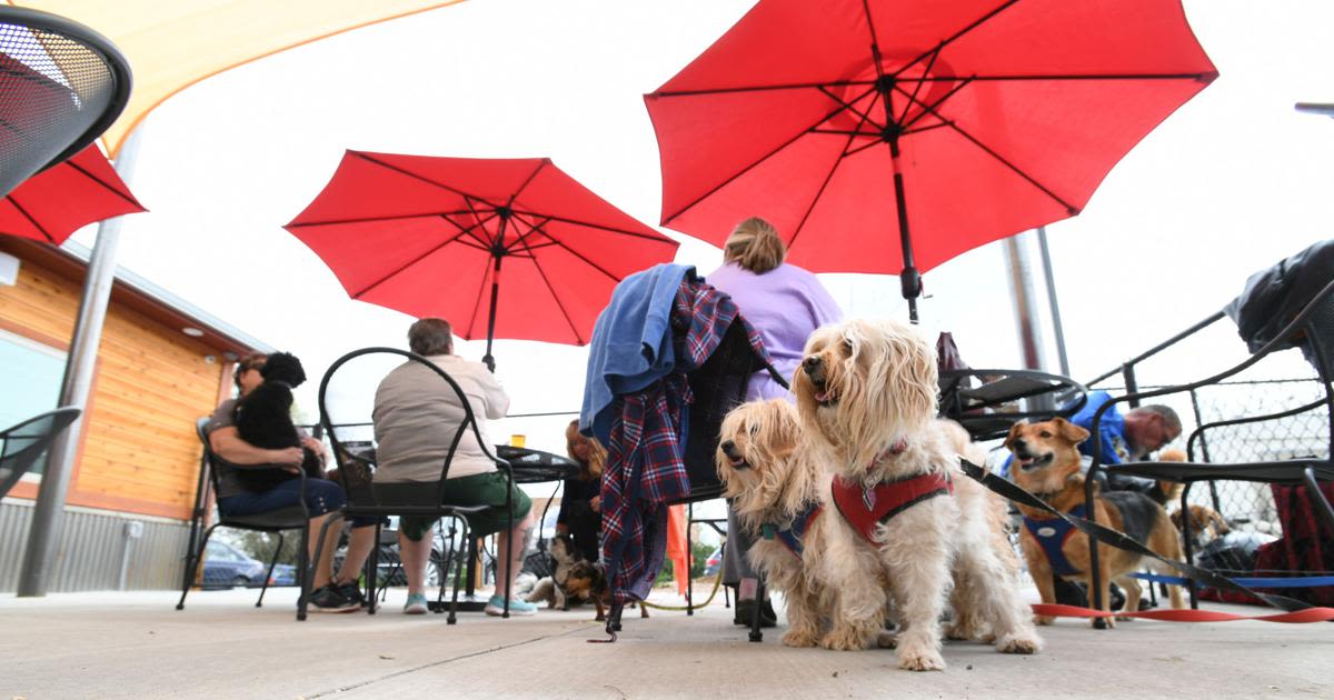 This Colorado Springs dog-friendly pub among top 10 best dog bars in US