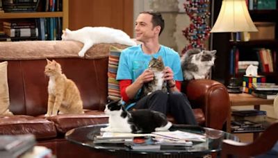 La inconsistencia argumental con Sheldon Cooper en The Big Bang Theory y de la que no te diste cuenta