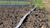 Contra Costa Resource Conservation offers new irrigation services