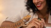 CDC says salmonella outbreak linked to bearded dragons has spread to nine states