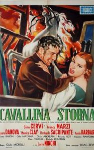 Cavallina storna