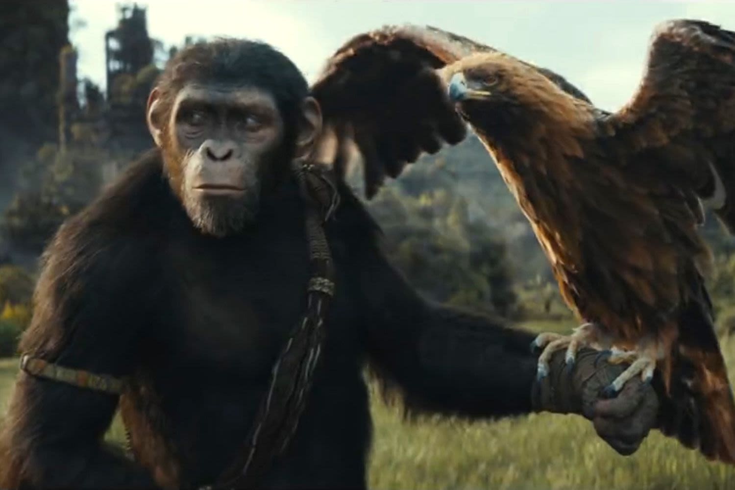 'Kingdom of the Planet of the Apes' scores top spot at box office