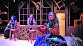 Creative Cauldron’s Laura Hull Brings Us ‘Chicks in Heaven’ | Falls Church News-Press Online