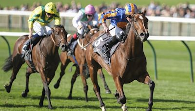 O'Brien's unbeaten Lake Victoria impresses at Newmarket