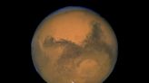 NASA may have unknowingly found and killed alien life on Mars 50 years ago, scientist claims