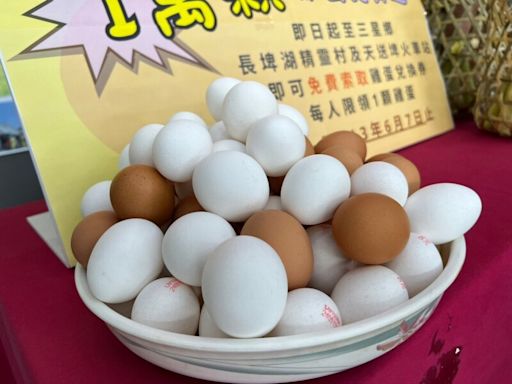 三星鄉公所推旅遊活動 萬顆雞蛋免費送 (圖)