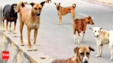 FIR registered after couple forbidden from feeding community dogs at NESCO compound | Mumbai News - Times of India