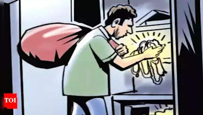 Mother and Daughter Fight Thief for 15 Minutes, Stop Him from Fleeing with Their Gold | Bengaluru News - Times of India