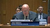 Russian Ambassador to the UN Vasily Nebenzya, via translator, calls out comments from Rep. Adam Kinzinger (R-IL).
