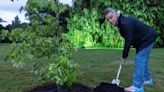 Robbie Williams plants tree at Heritage Live gig on King’s Sandringham Estate