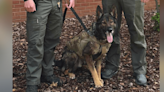 K-9 Hondo joins forces with Lee County Sheriff’s Office