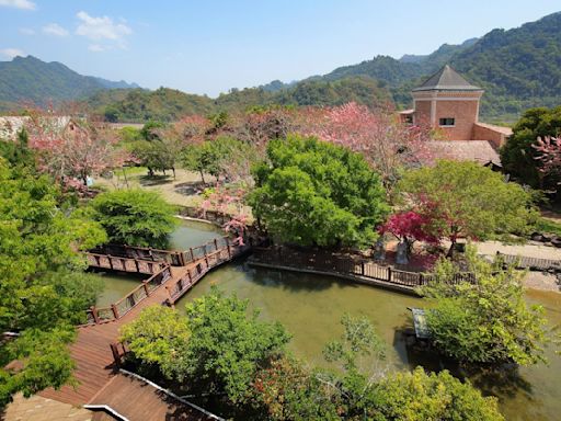 絕美桃紅花旗木登場苗栗大湖「巧克力雲莊」 母親節限定莓果巴斯克新品預購優惠 | 蕃新聞