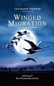 Winged Migration - Making Of