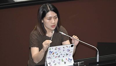 「美台國防工業會議」陳永康不去了 國民黨換徐巧芯赴美演講