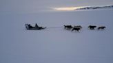 氣候變遷衝擊野生動物數量 格陵蘭狩獵傳統步向尾聲