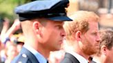 El príncipe Harry alista viaje a Londres tras un año sin hablar con William y Kate