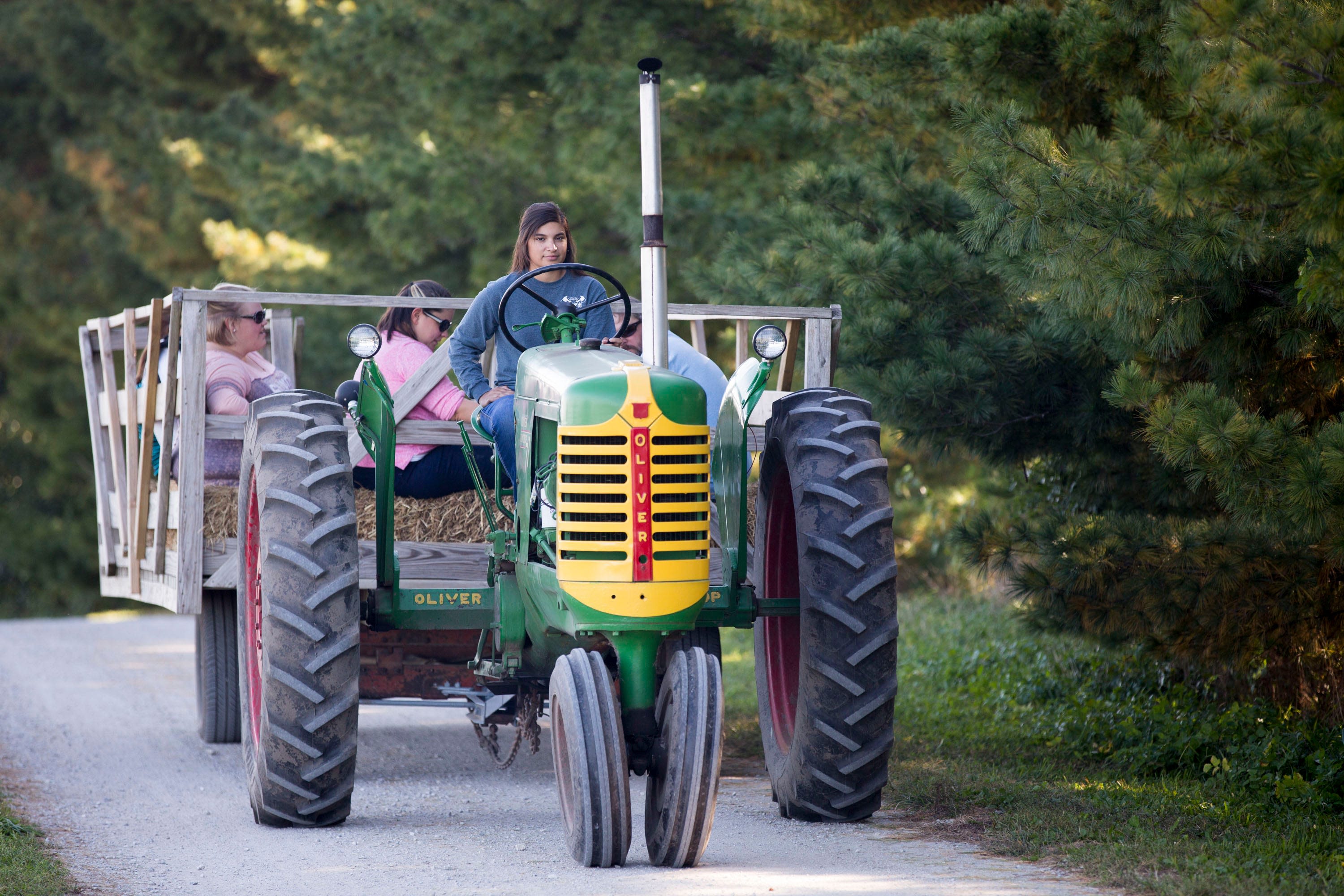 Five apple orchards to visit this fall near the Des Moines metro