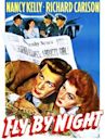 Fly-by-Night (film)