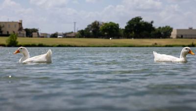 Will La Niña be weaker than expected? Here’s what it would mean for Texas and its farmers