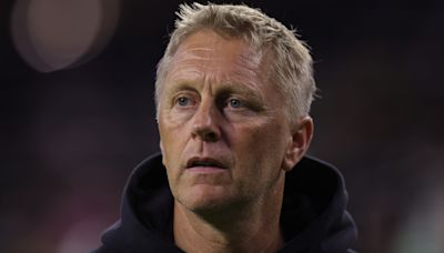 Fans all crack the same joke about new Ireland manager Hallgrímsson's second job