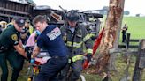 Pickup sideswiped bus carrying crew to pick Florida watermelons, killing 8 Mexican farmworkers