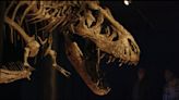 ‘The Bones’ Review: It’s Paleontologists vs. Profit in Entertaining Look at the Fossil Trade