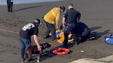 Video: Man Risks Life to Save Drowning Dog in King Tides, Needs Rescuing Himself