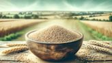 Bill Gates Says Americans Are Obsessed With Wheat And Corn But This Lost Grain From Africa Is The 'Future Of...