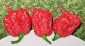 Carolina Reaper