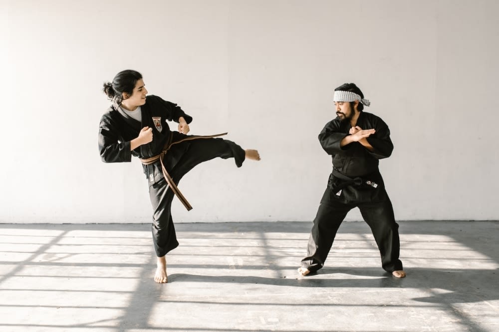 Bushi Ban DFW martial arts studio coming soon to Lewisville