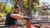 Santa Maria Valley's Wine and BBQ Imprint Grows