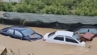 汽車因颱風砸毀、泡水 3險種才有保障理賠！