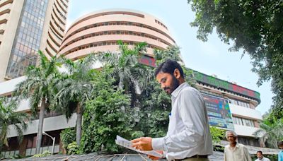 Stocks to Watch: TCS, Adani Enterprises, Indus Tower, Airtel, LIC, Zydus Life